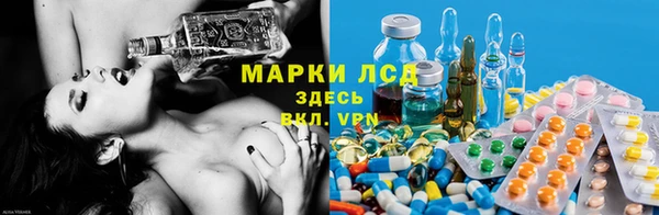 PSILOCYBIN Чекалин