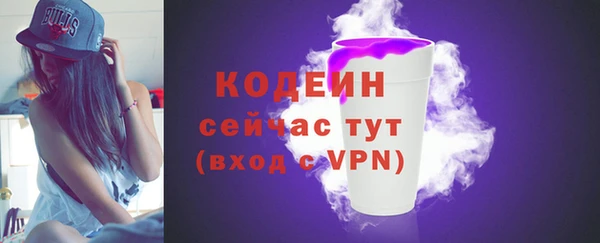 ПСИЛОЦИБИНОВЫЕ ГРИБЫ Гусев